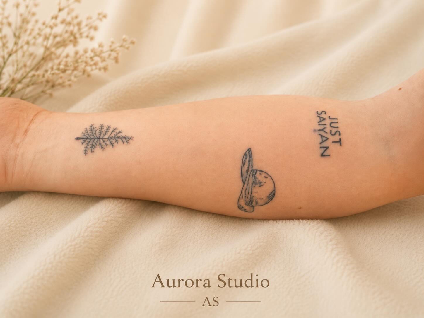 Aurora Studio - image 11